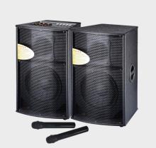 12inch DJ Stage Speaker System With Wireless Mic