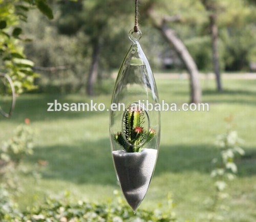 Wholesale Glass Terrarium & Glass Hanging Vase&Landscape Bottle