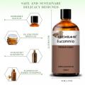 Wholesale Bulk Price Eucommia Organic 100% pure Natural Eucommia Oil