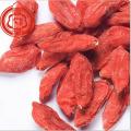 ผลไม้เบอร์รี่สีแดงสดของ Goji Berries