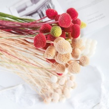 Birthday and Wedding Dried Flower Decorations: Billy Buttons and Dried Balls