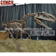 Fiberglass High Imitation Artificial Dinosaur Skeleton Model?
