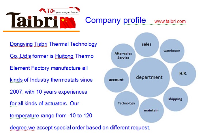 Company Profile