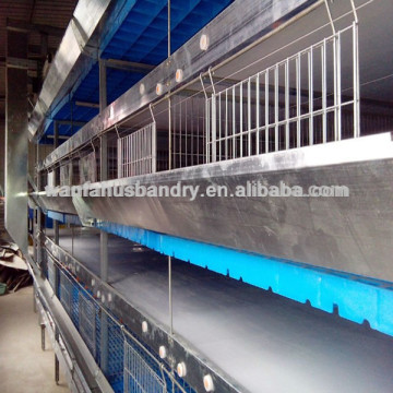 design layer chicken cages for kenya poultry farm