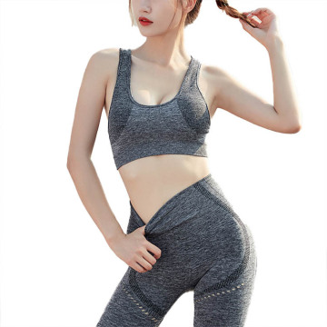 Seamless Slim Fit Yoga Leggings with Bra Set