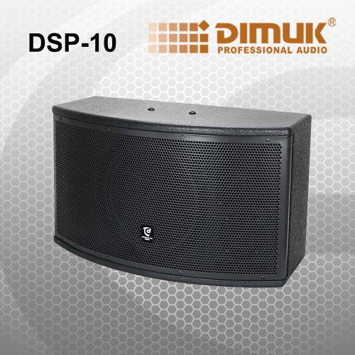 Professional 10" Karaoke Speaker (DSP-10)
