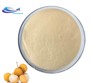 High Quality Arillus Longan Extract Longan Aril