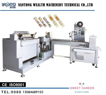 Wealth Gum Pillow Type Packing Machine