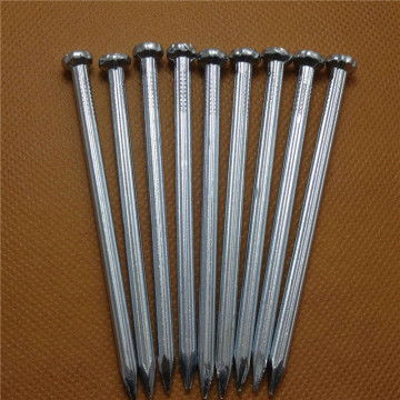 Electro Galvanized Concrete Nails and Steel Nails