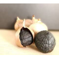 Oxidant Single Clove Black Garlic With FDA