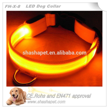 Dog accessories in pet collar with led dog collar