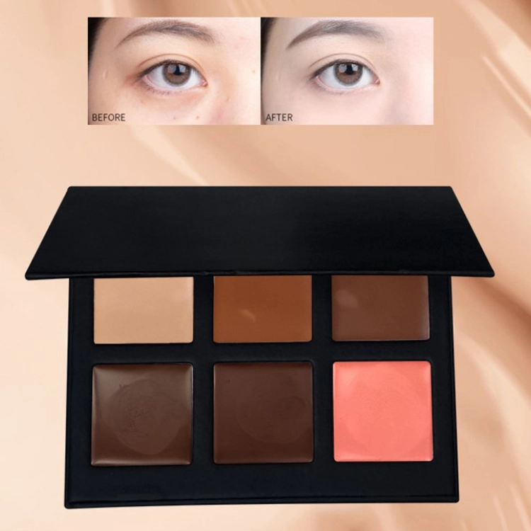 2021 Cosmetic Cream Concealer Palette 6 Colors Cream Palette Concealer Makeup