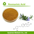 Rosemary Folhas Extrato de ácido rosmarínico em pó 20% HPLC