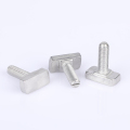 Corrosion Resistant T-Bolts in Stainless Steel