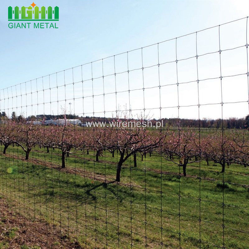 Glavanized PVC Coated Field Fence Farm Fences