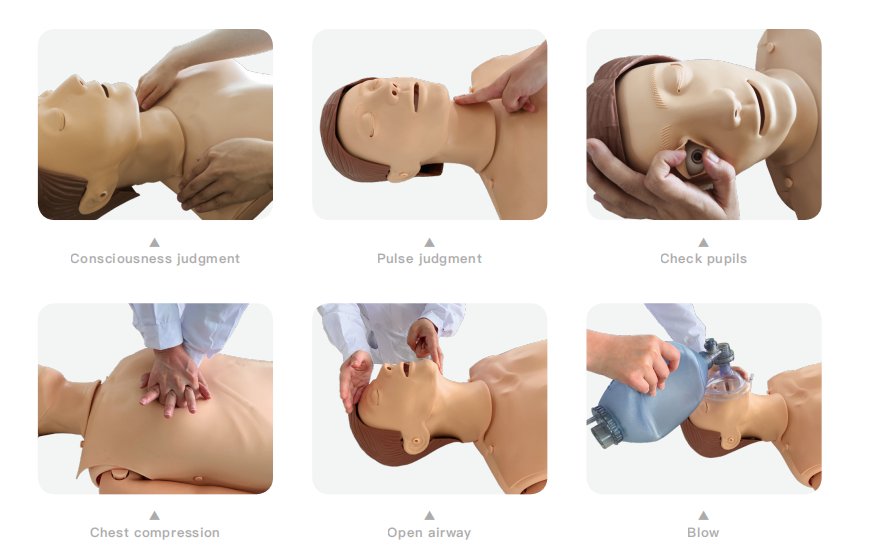 Advanced CPR Training Manikin