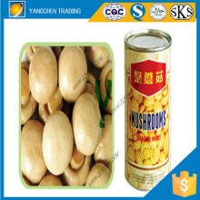 Fresh vegetable of canned mushrooms in brine mushroom price