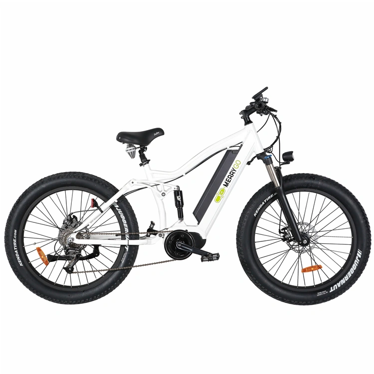 2019 Hot-Sell 48V 350W Middle Drive Motor Fat Tyer Electric Bike