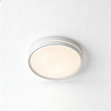 Home ceiling light fixture LED