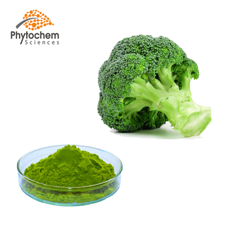 Bulk fresh frozen dehydrated broccoli powder