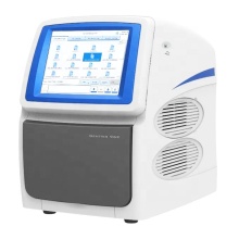 DNA Paternity Testing with Gentier 96E Automatic Real-time Quantitative PCR