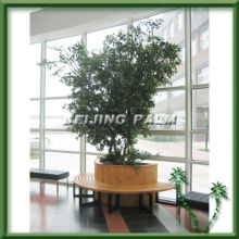 banian tree,plastic tree plant