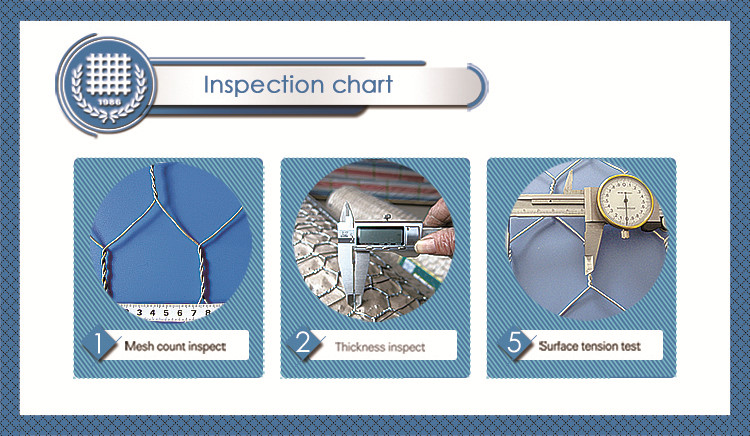 China High Grade Galvanized Hexagonal Wire Net
