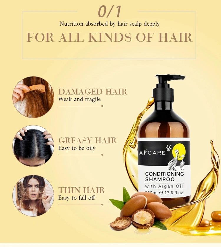 Wholesale OEM ODM Private Label Natural Argan Oil Shampoo Anti Hair Loss Care Shampoo