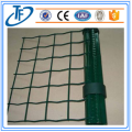 dilas wire mesh panel / dilapisi kawat holland plastik