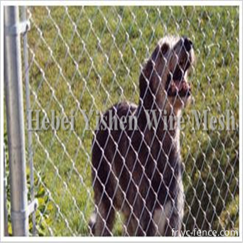 clôture à mailles de chaîne1__1 chain link fence1__1