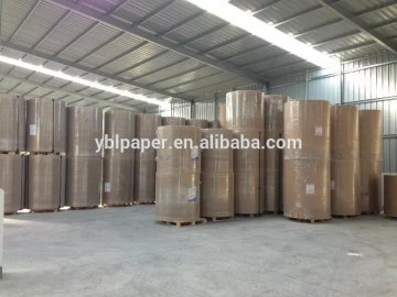 Pe Coated Paper In Roll/Pe Coated Paper In Reel For Paper Cup