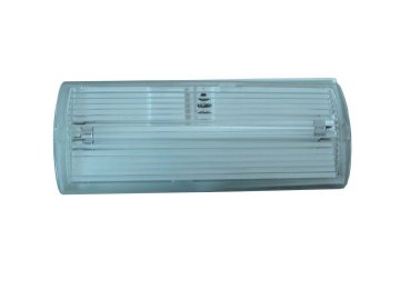 wall mouned emergency fluorescent light