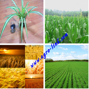 soluble matter fertilizer