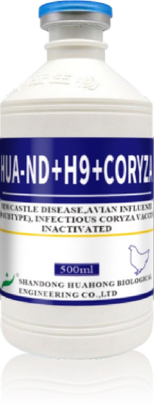 HUA-ND+H9+CORYZA HUA-ND+H9+CORYZA