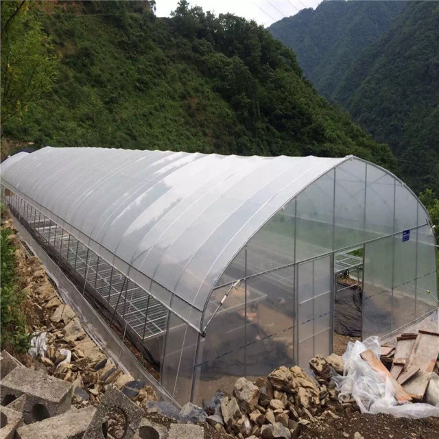 Agricultural film Tunnel Plastic greenhouse for lettuces