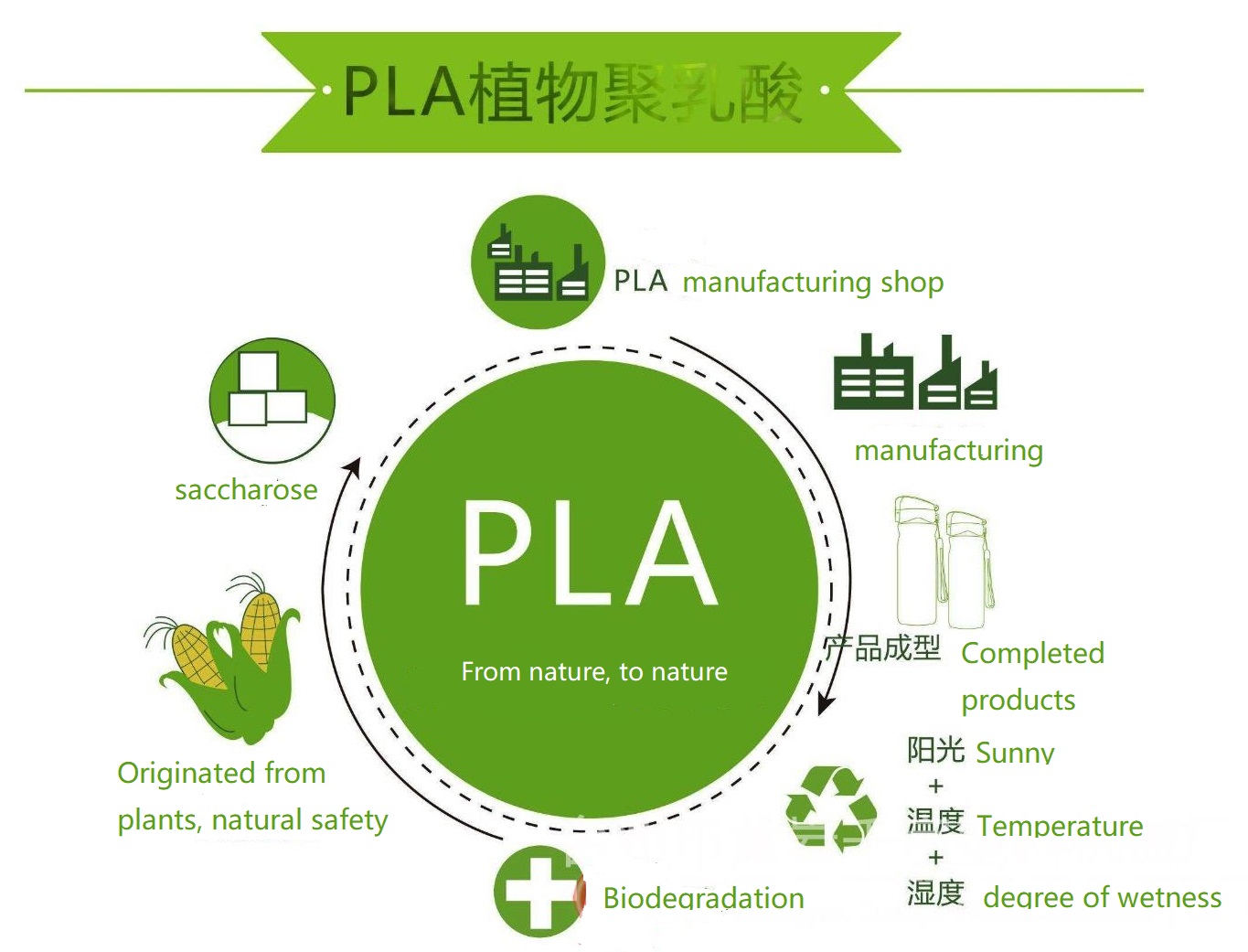 PLA0