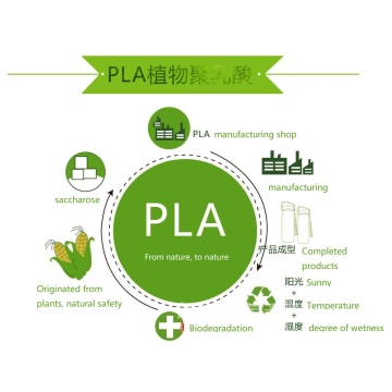 Hoja de PLA 100% biodegradable y desechable para cubiertos