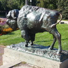 large graden outdoor metal craft bison life sized bronze sculpture