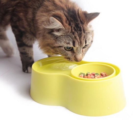 Anti-Ant Plastic Pet Bowl - สีเหลือง