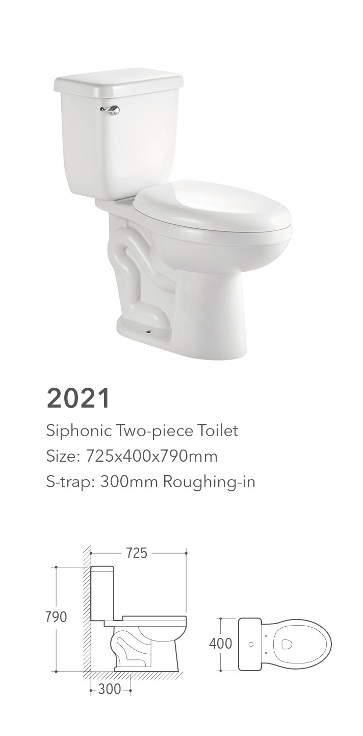 2021 Two Piece Toilet