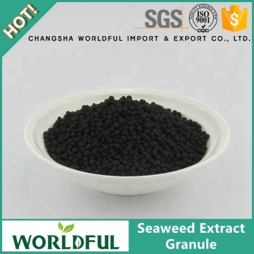 Advanced Nutrients Seaweed Extract Organic Fertilizer Seaweed Extract Granule