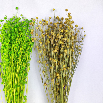 Dried Flowers and Botanicals: Acacia Beans, Hypericum Berries, and Natural Flax Bunch