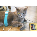 QRMA resonansi magnetik hewan magnetik Pet Scanner