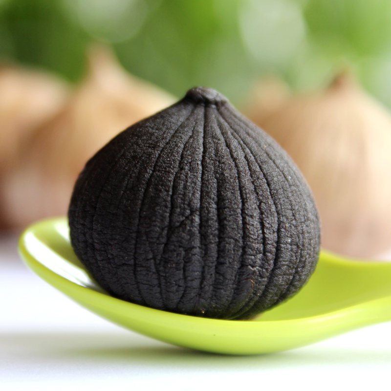 Export High Quality Solo Black Garlic