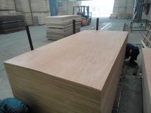 Plb Plywood /Red Hardwood for Building