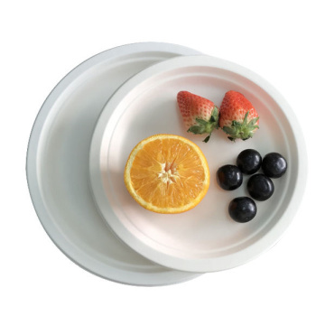 Biodegradable Disposable Sugarcane Bagasse Pizza Plate