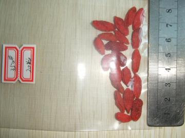 350 size goji berry Traditional Factory direct supply