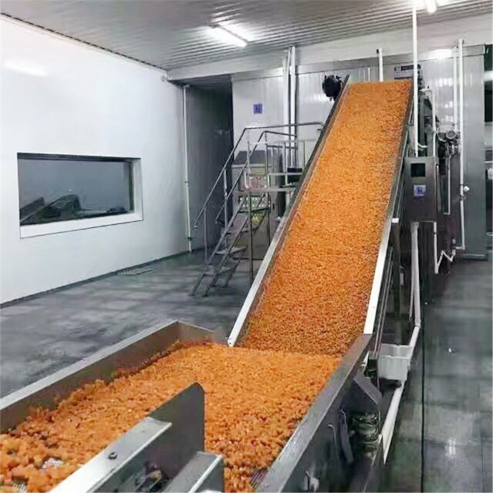 Fluidized Tunnel Freezer For Carrot Block