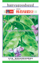 Dolichos lablab Lablab purpureus (Linn.) Sweet Lentil Seeds For Cultivation