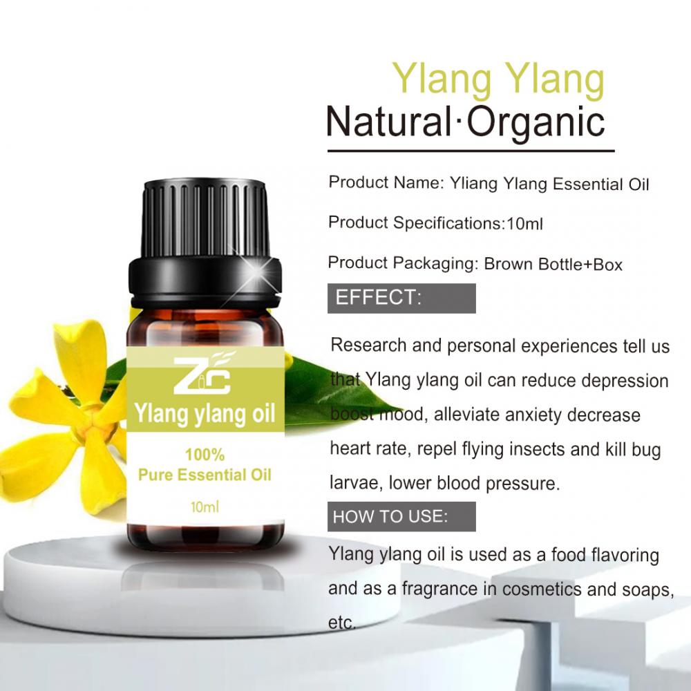 Hot Sale Ylang Ylang Essential Oil For Massage